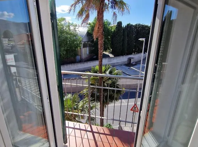 Palm House