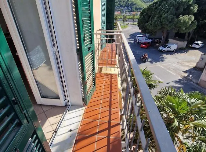 Palm House Appartement